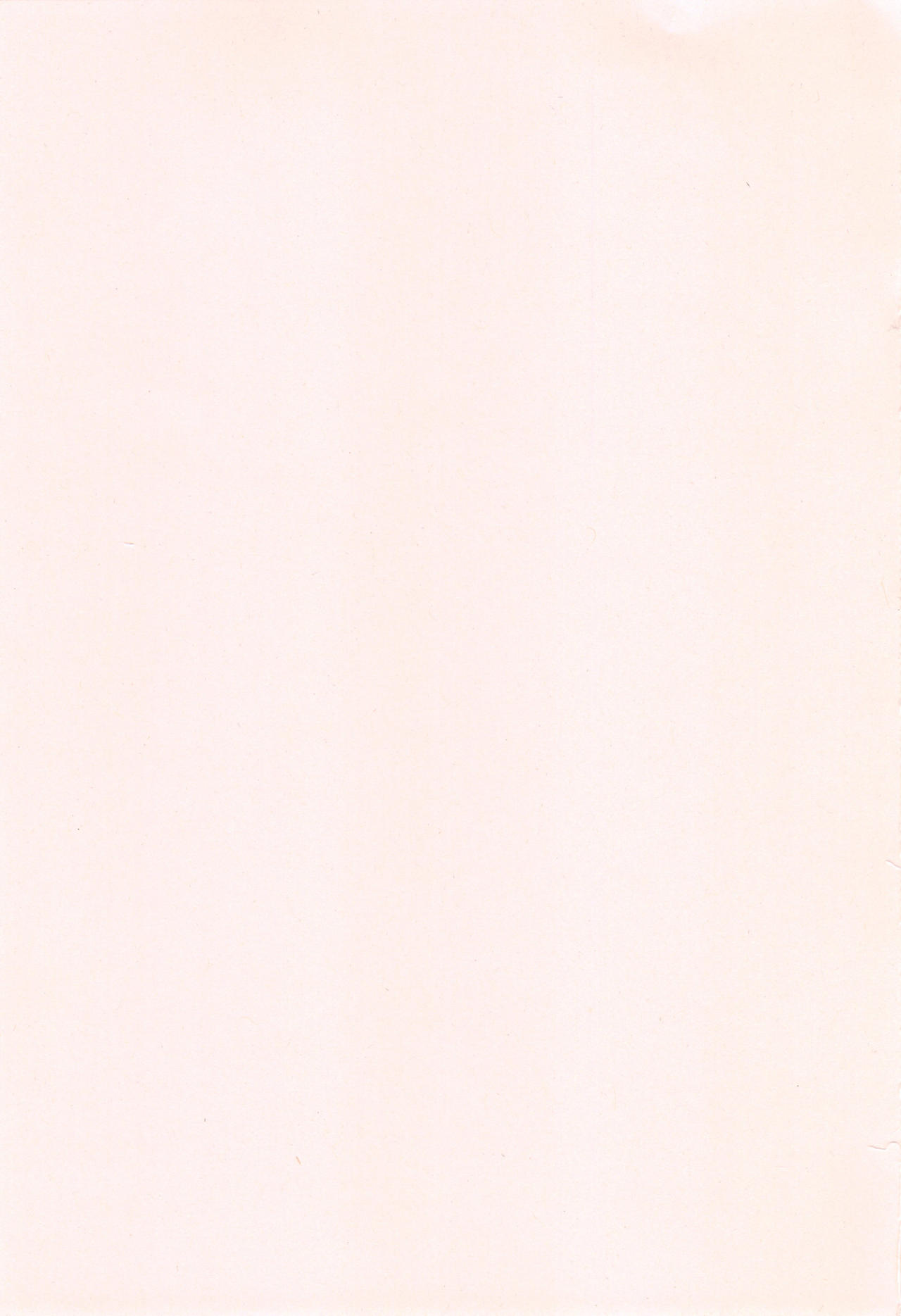 [江戸川浪漫] ましゅまろでぃず + とらのあなリーフレット