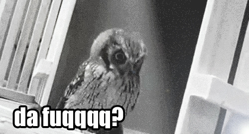 [シイナ] ノラネコ少女との暮らしかた 第4-13話 [中国翻訳] [DL版]