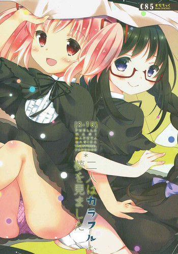 (C85) [すだちっく (塩野まき)] 二人はカラフルな夢を見ました (魔法少女まどか☆マギカ)