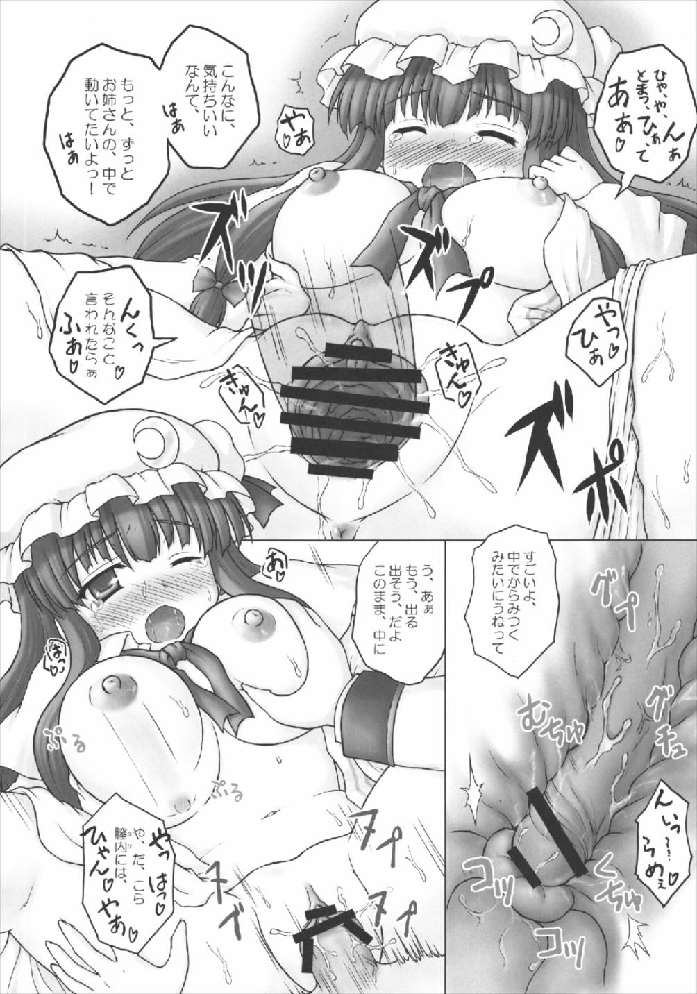 (例大祭8) [にゅうたいぷ研究所 (理)] お姉ちゃんの東方 (東方Project)
