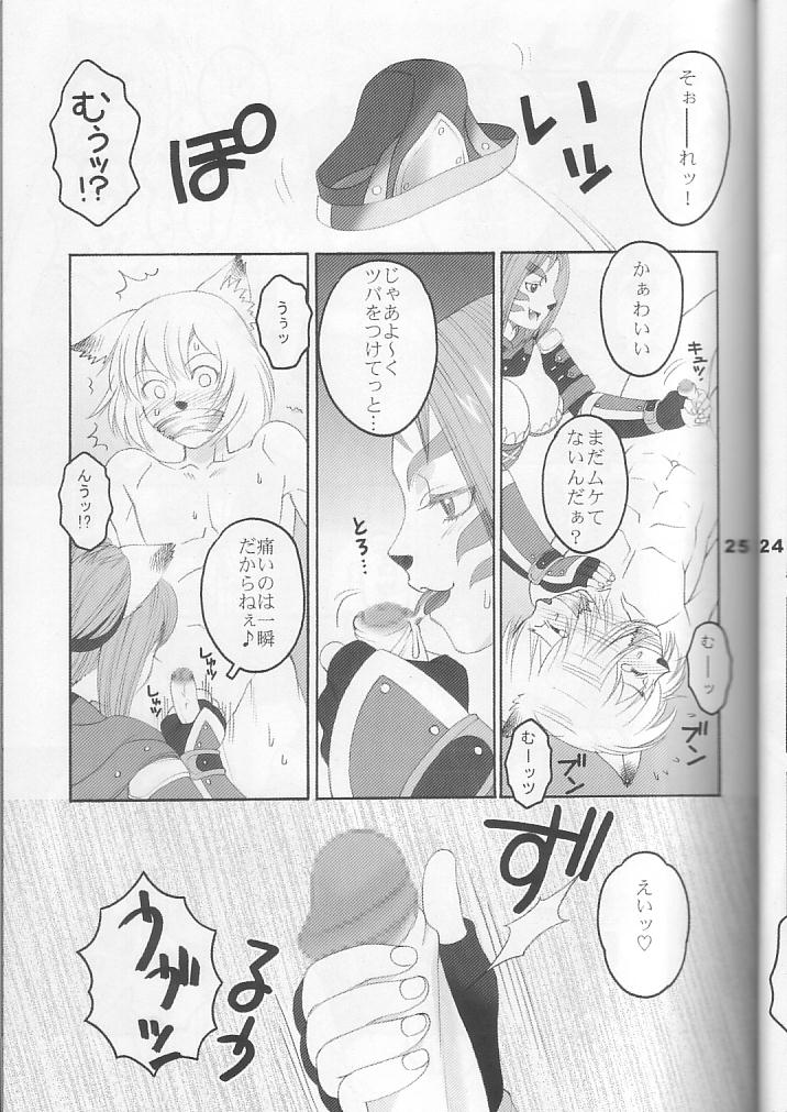 (C66) [愛でる会 (吉野小雪)] ミスラを愛でる本3+1 (ファイナルファンタジーXI)