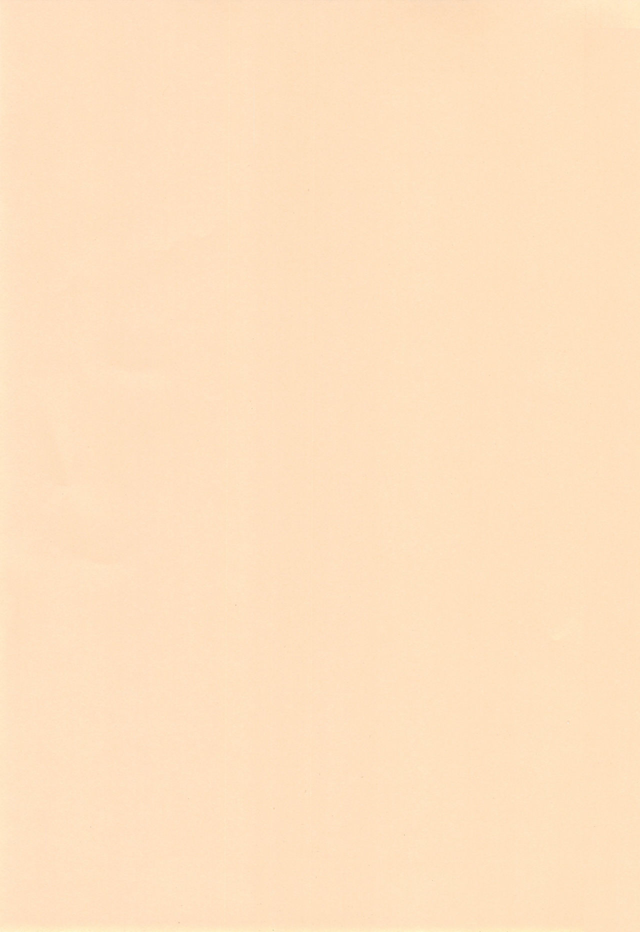 (C92) [洋蘭堂 (すぎぢー)] コンデンス ワイフ [中国翻訳]