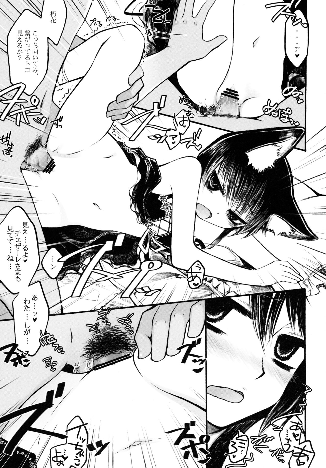 (C77) [紫。 (RUIKO)] 乞い人 (セブンスドラゴン)