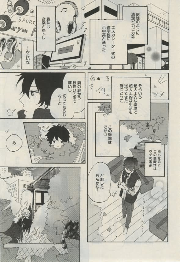 ダリア 2015年02月号