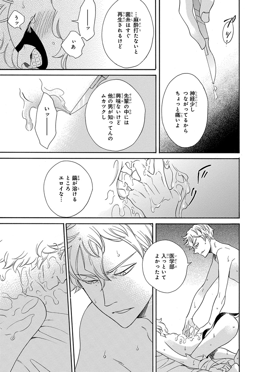 [九重シャム] 先輩に繭とオレ