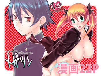 [我儘堂 (翔丸、NIO)] メガツン [DL版]