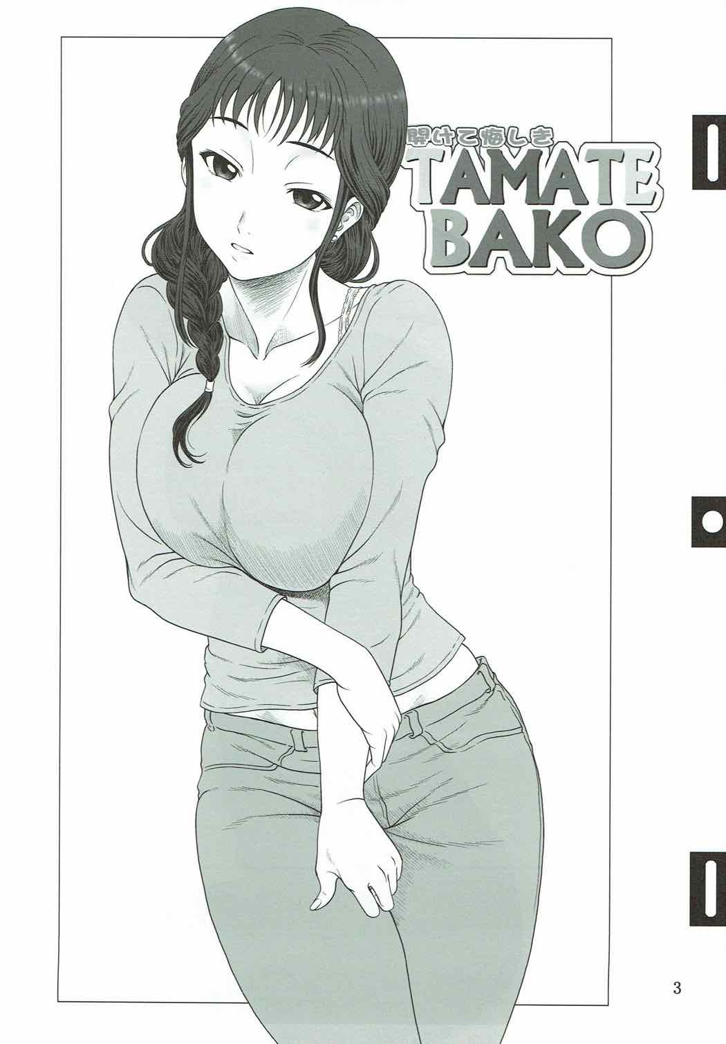 (C89) [俺たちミスノン一家 (須原シイナ)] 開けて悔しきTAMATEBAKO (SHIROBAKO)