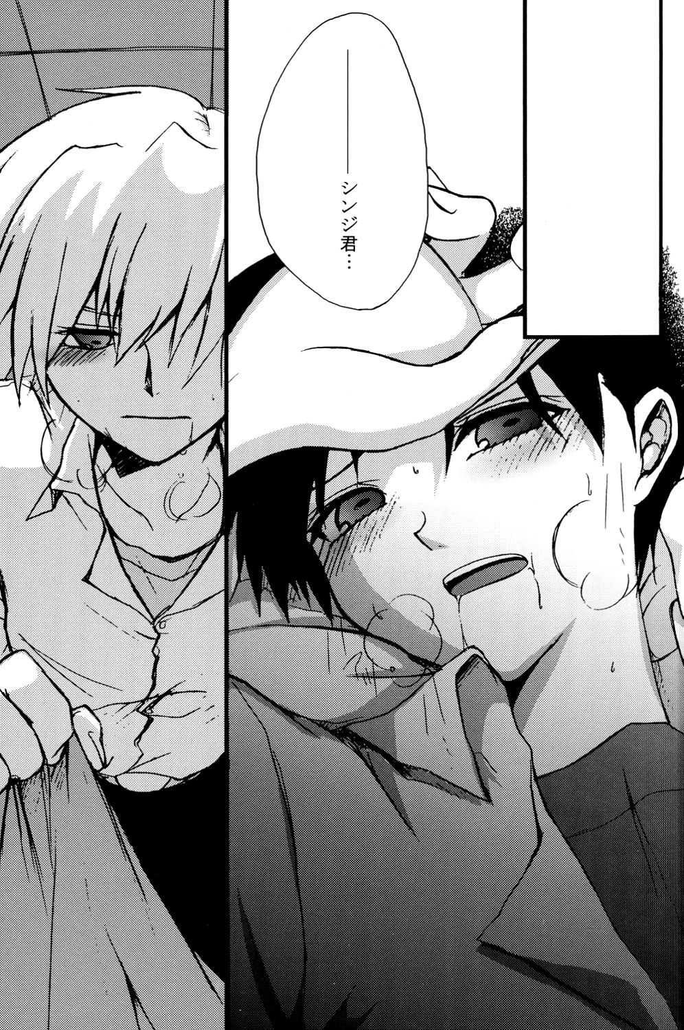 (C79) [offaria (緋蓮尚)] 純情フィナーレ (新世紀エヴァンゲリオン)