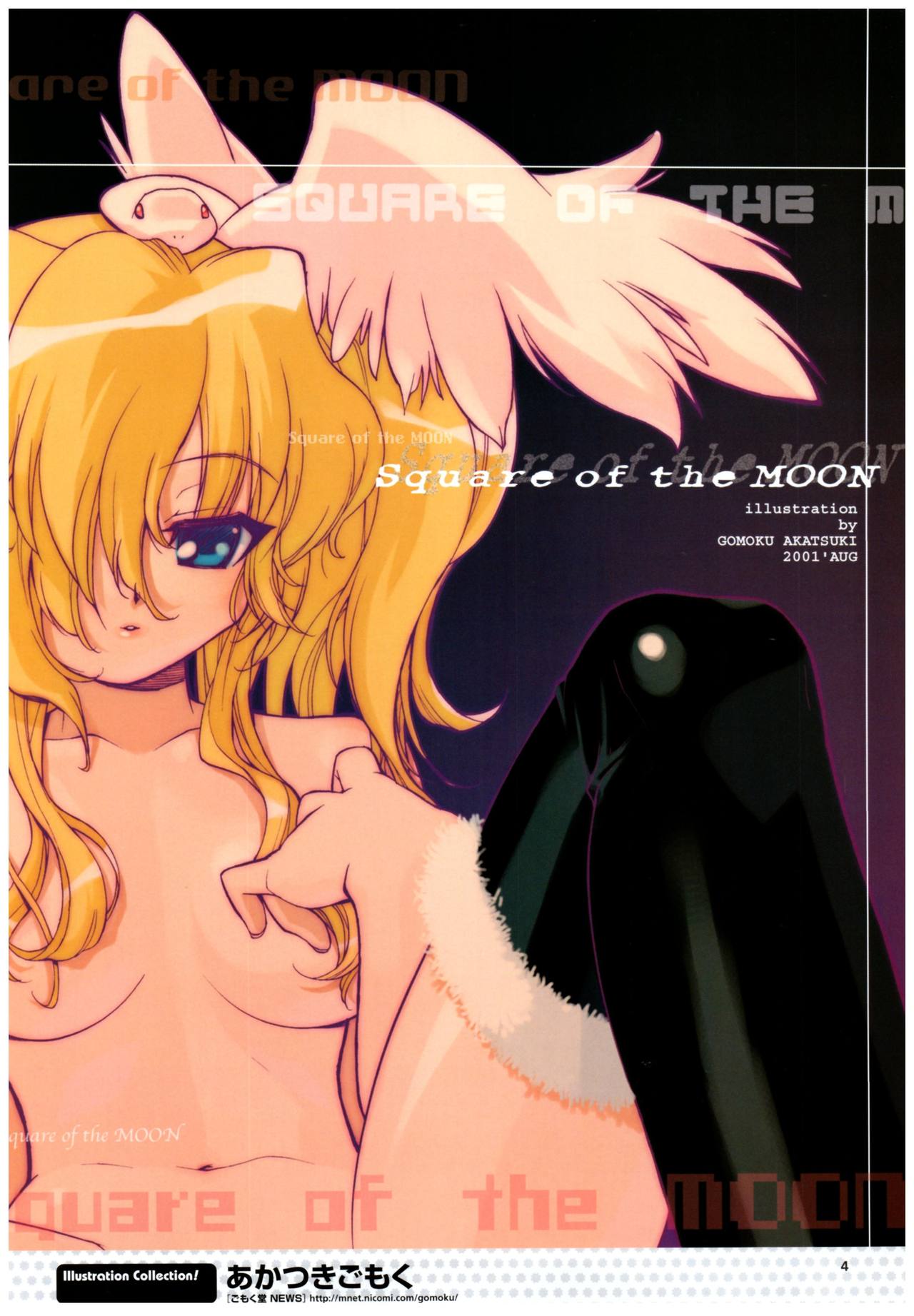 夜が来る!‐Square of the Moon‐ビジュアルファンブック
