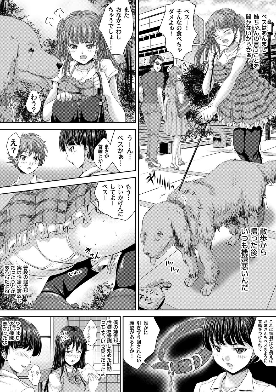 コミックマグナム Vol.61