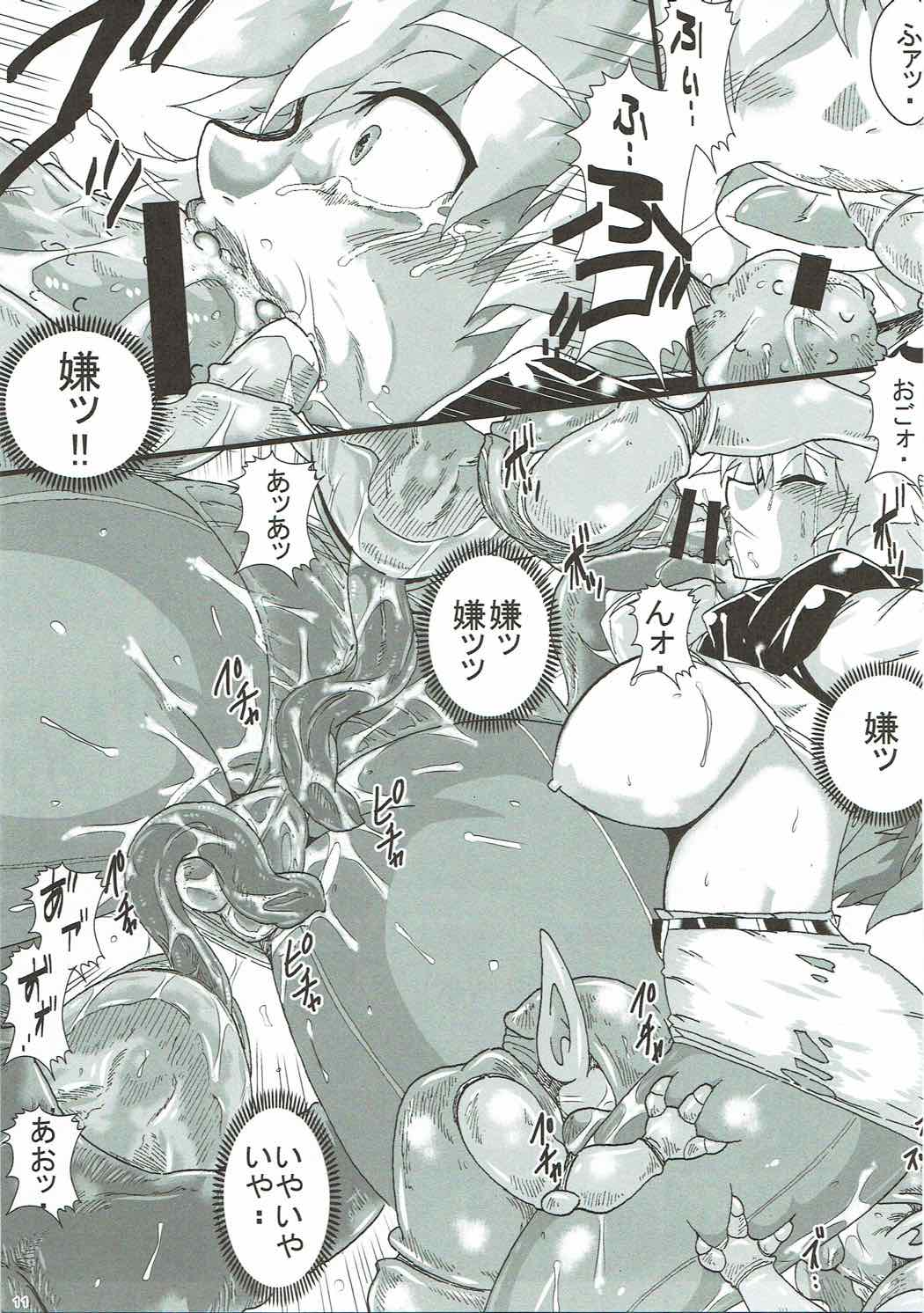 (COMIC1☆9) [ゆずぽん酢 (さこきち)] 異種姦苗床姫 ―おてんば姫の産卵― (ドラゴンクエストIV)