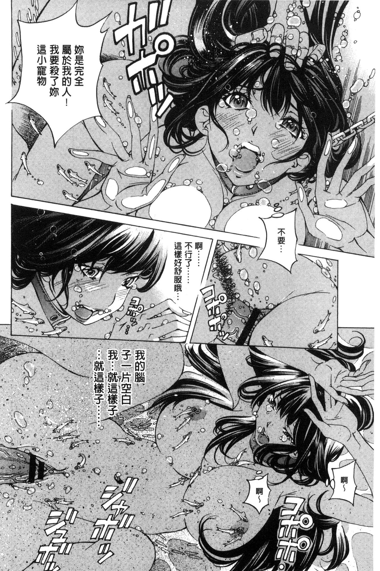 [野原ひろみ] 愛玩哀奴 [中国翻訳]