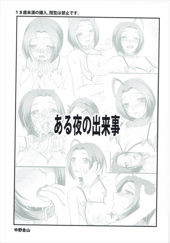 (C90) [中野金山 (きんばら1099)] ある夜の出来事 (アイドルマスター)