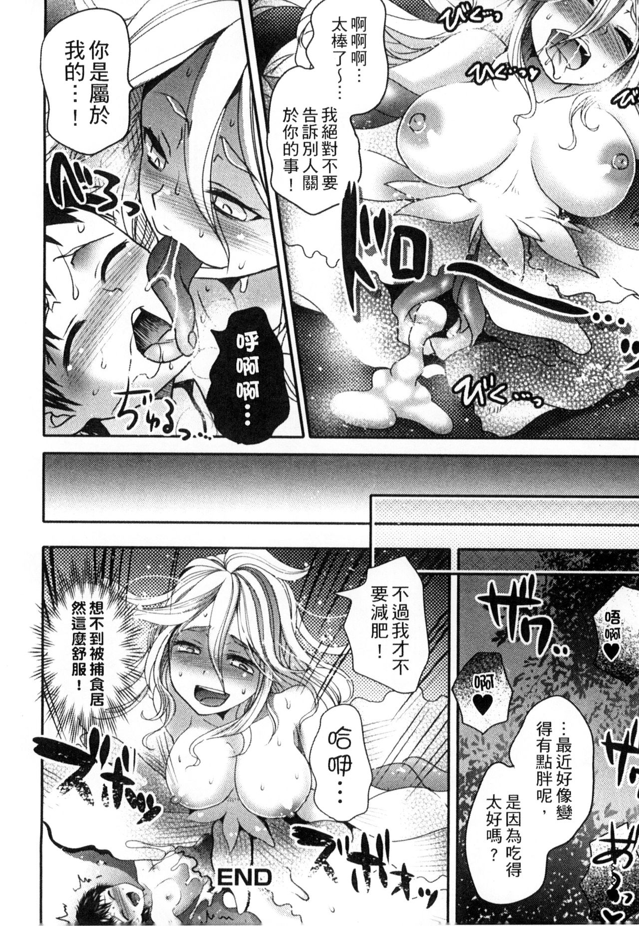 [アンソロジー] モンスター娘との交合 [中国翻訳]