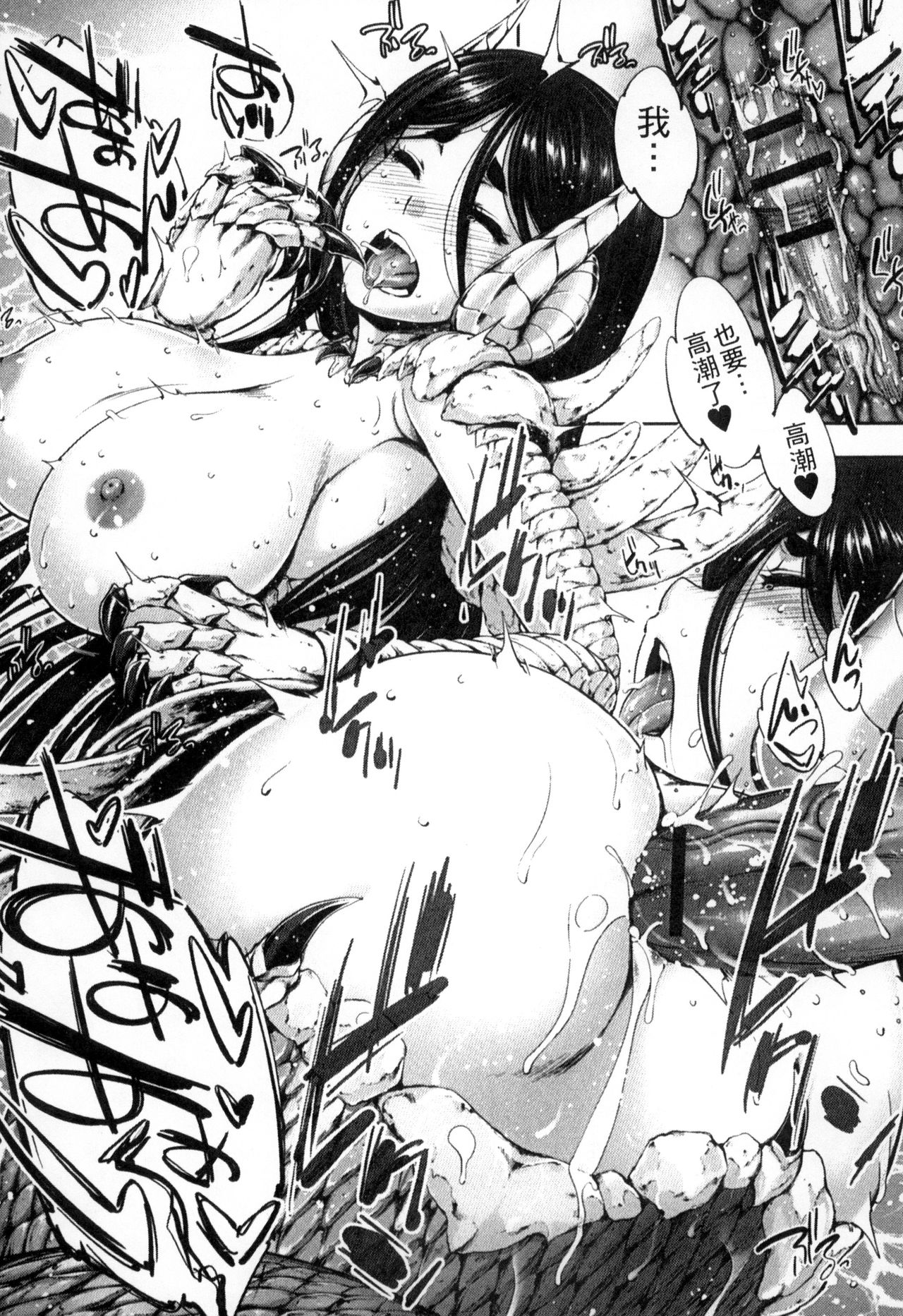 [アンソロジー] モンスター娘との交合 [中国翻訳]