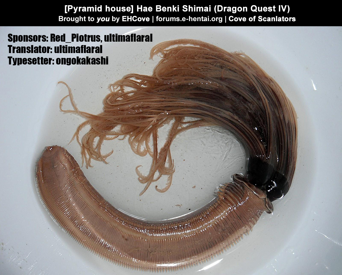 [ピラミッドハウス] 蝿便器姉妹 (ドラゴンクエスト IV) [英訳]