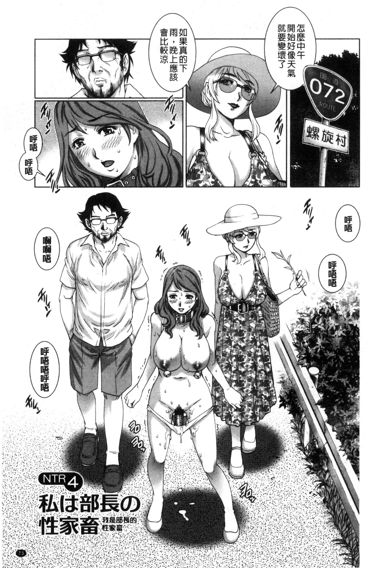 [やながわ理央] ネトラレ愛玩妻 [中国翻訳]