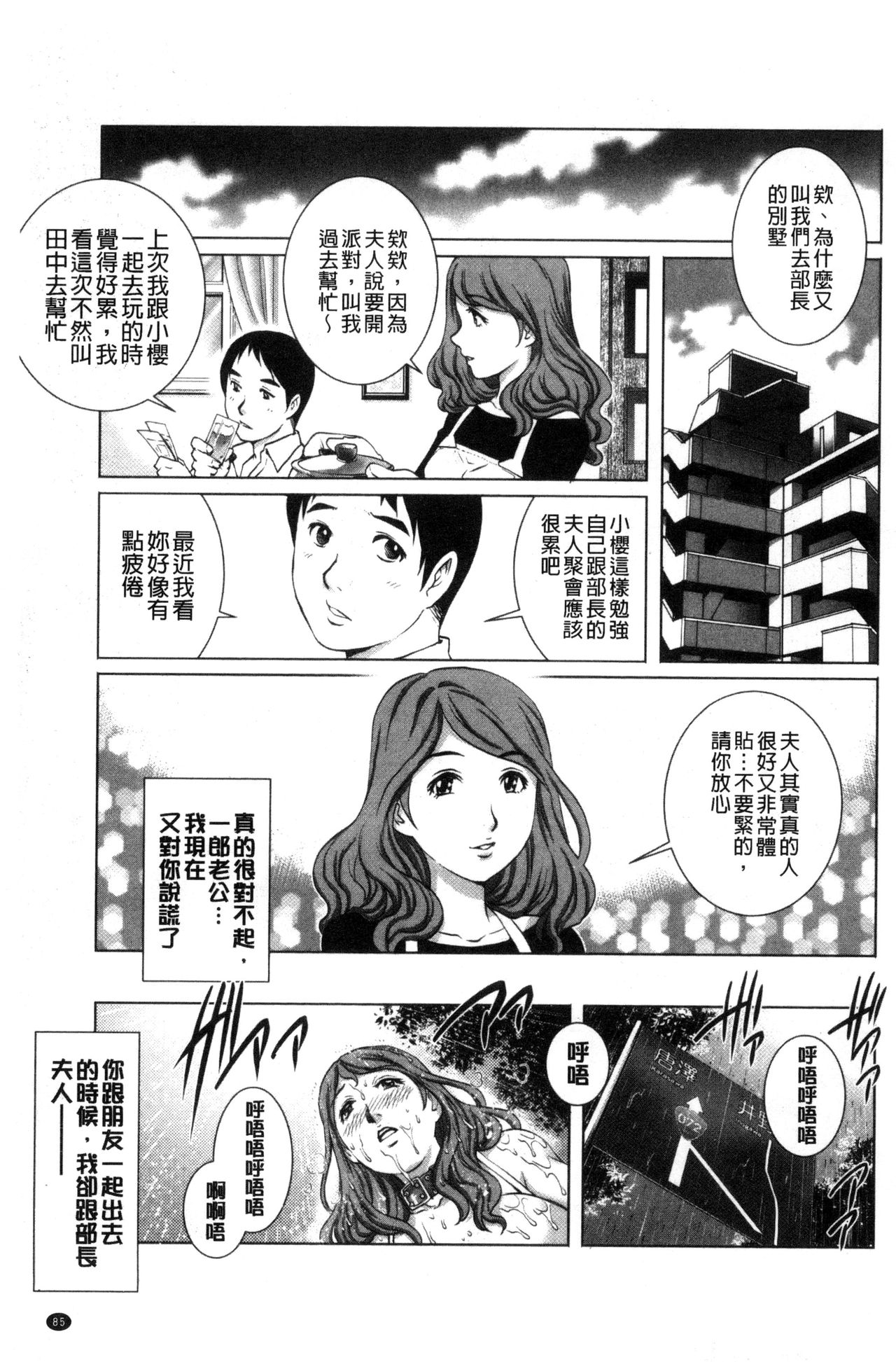 [やながわ理央] ネトラレ愛玩妻 [中国翻訳]
