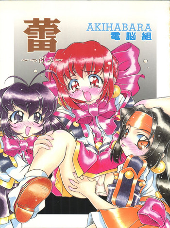 (C54) [姫倶楽部 (霧風)] 蕾 (アキハバラ電脳組)