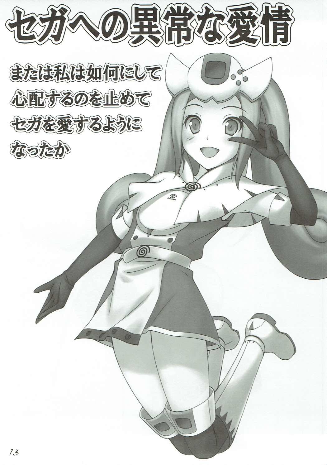 (C88) [GT Works (GT)] セガへの異常な愛情 (Hi☆sCoool! セハガール)