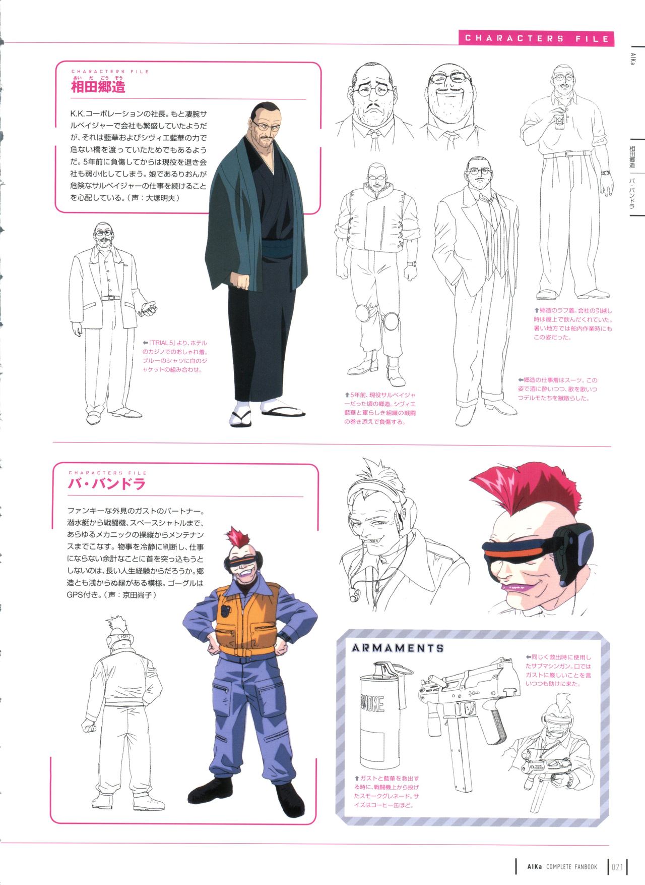 アイカコンプリートファンブック