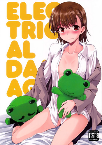 (C91) [Aspergillus (おから)] ELECTRICAL DAMAGE (とある科学の超電磁砲)