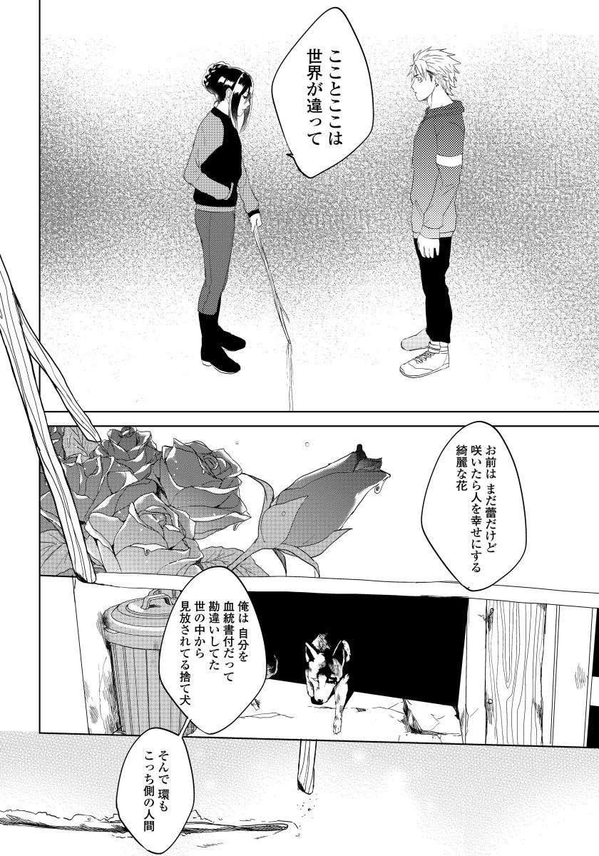 [shoco] 薔薇とノラ犬(4) [DL版]