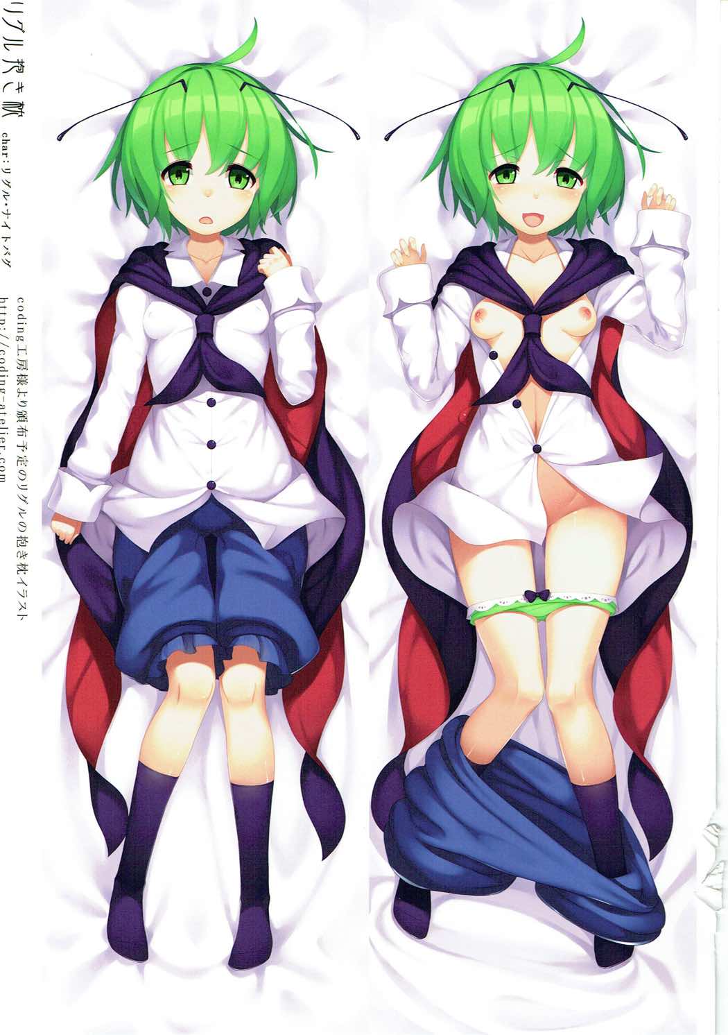 (例大祭14) [柑橘庭園 (みかん)] 幻想人春画帖参 (東方Project)