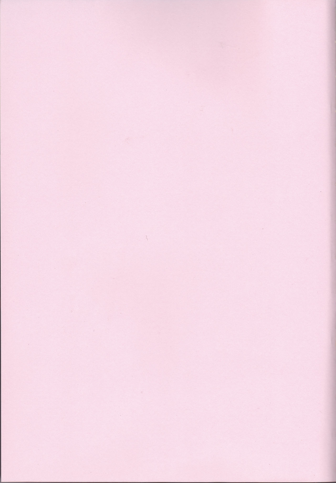 [prymary (貴瀬博恵)] yes!!my lord. (コードギアス 反逆のルルーシュ)