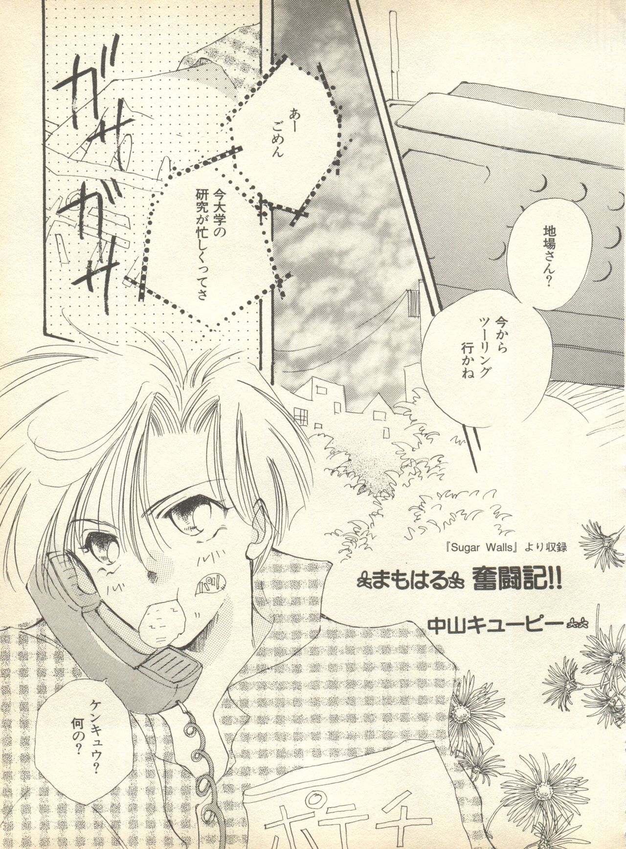 [アンソロジー] ルナティックパーティー9 (美少女戦士セーラームーン)