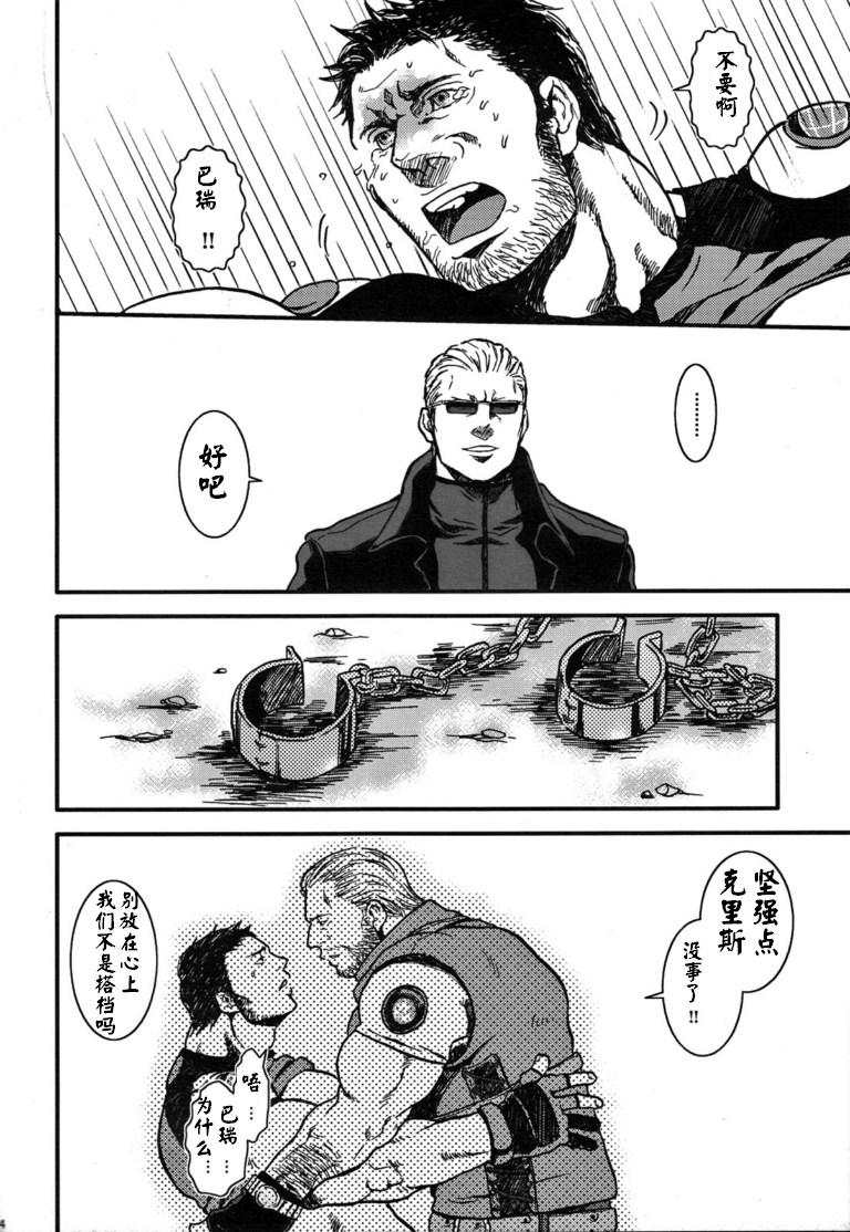 (野郎フェス2012) [たけおカンパニー (さくら)] The MERCENARIES (バイオハザード) [中国翻訳]