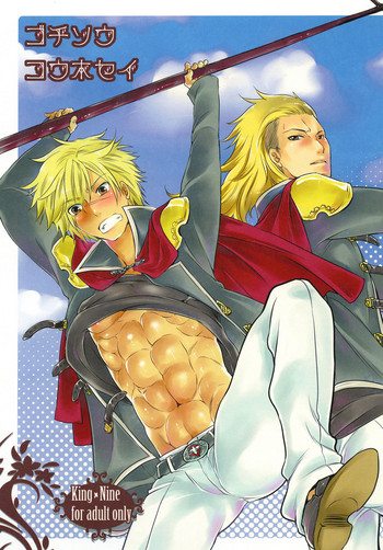 [Honey QP (命わずか)] ゴチソウコウホセイ (ファイナルファンタジー零式) [DL版]