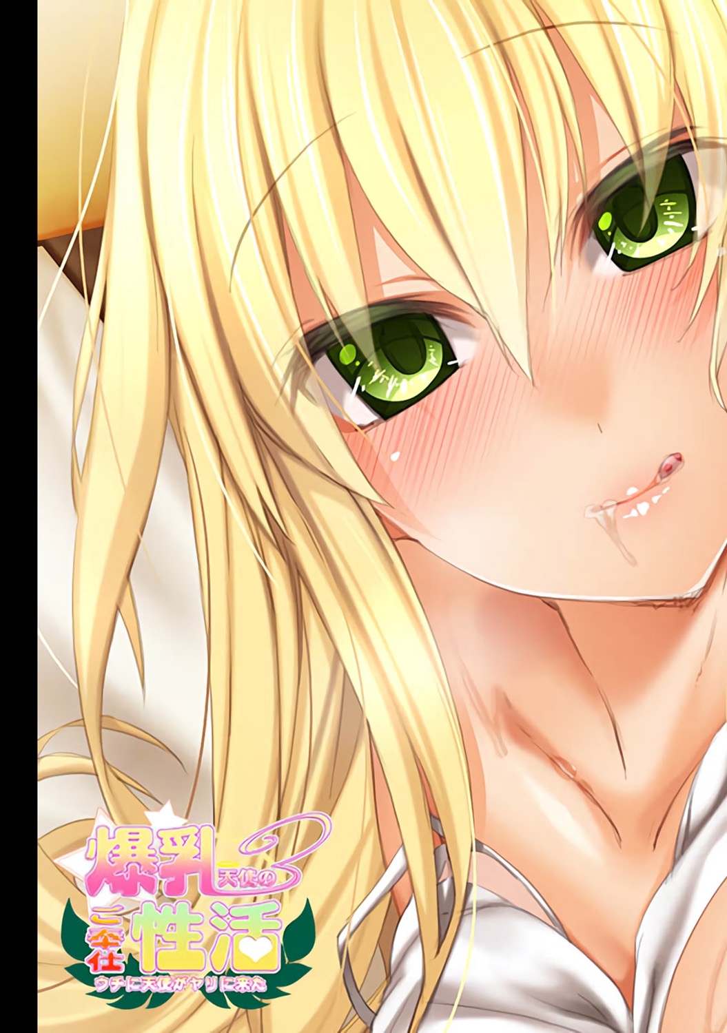 COMIC アナンガ・ランガ Vol.24