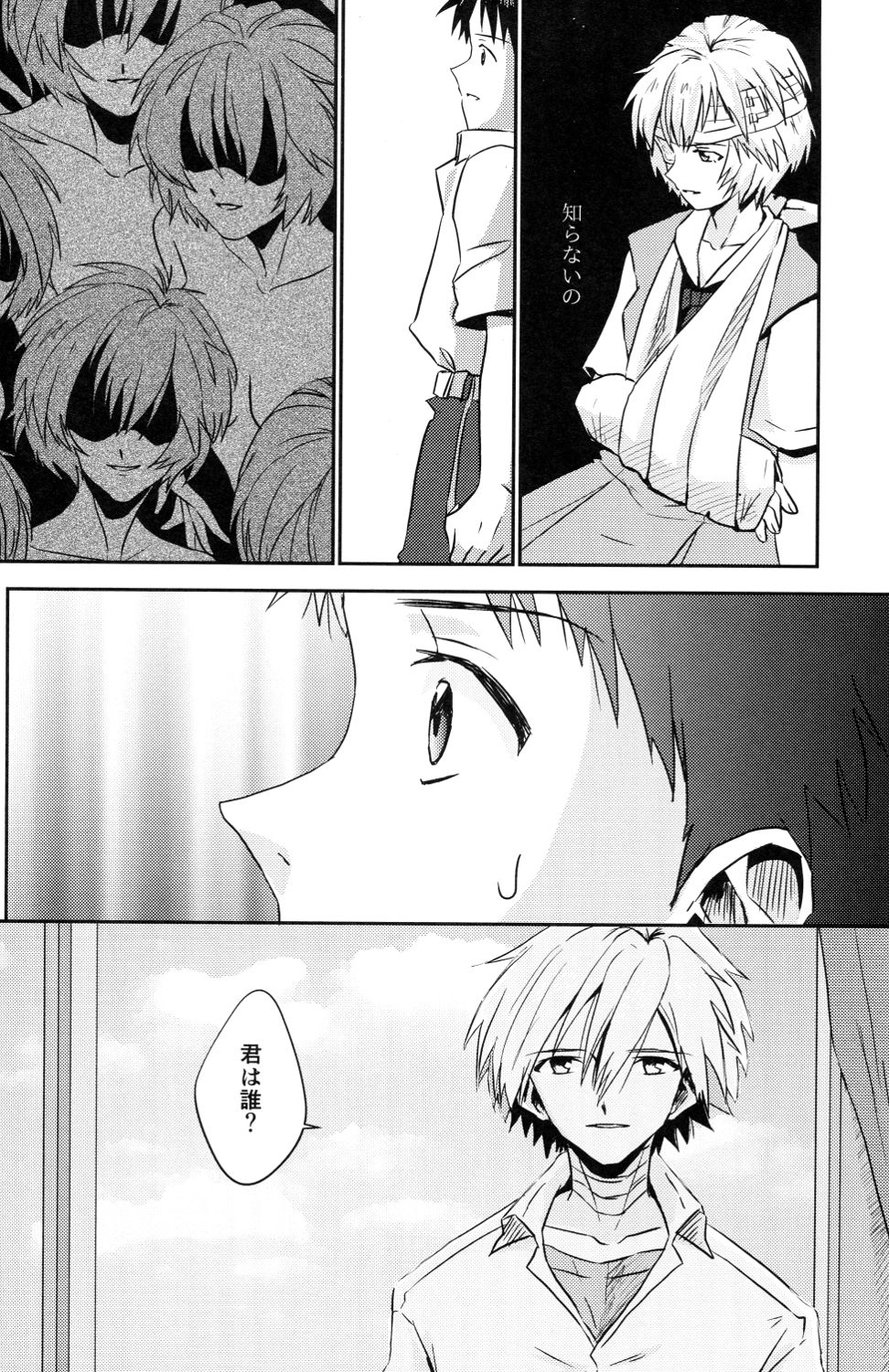 (君との連弾7) [甲型ちょこけーき (けおこ)] 冷たい赤を抱いて (新世紀エヴァンゲリオン)