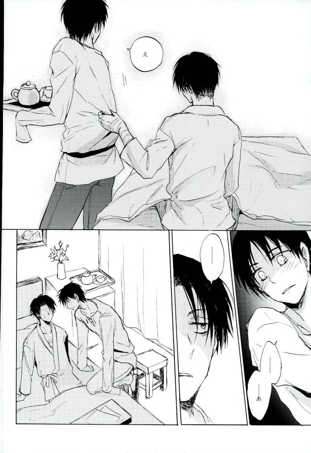 (調査兵団の恋愛事情) [OVERDOSE (端葉やち)] 名前を呼んで手を握って骨まで認めて貴方の声でオレを引き戻して (進撃の巨人)