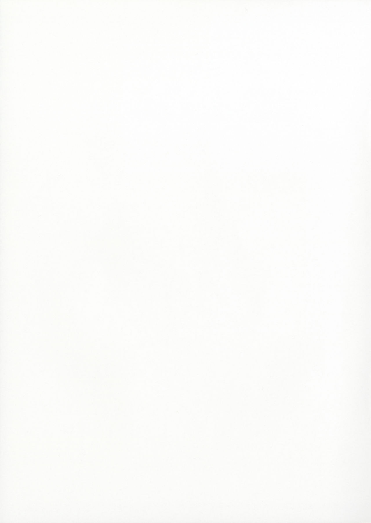 (COMIC1☆11) [関西漁業協同組合 (丸新)] Order Made Pillow (Fate/Grand Order) [中国翻訳]