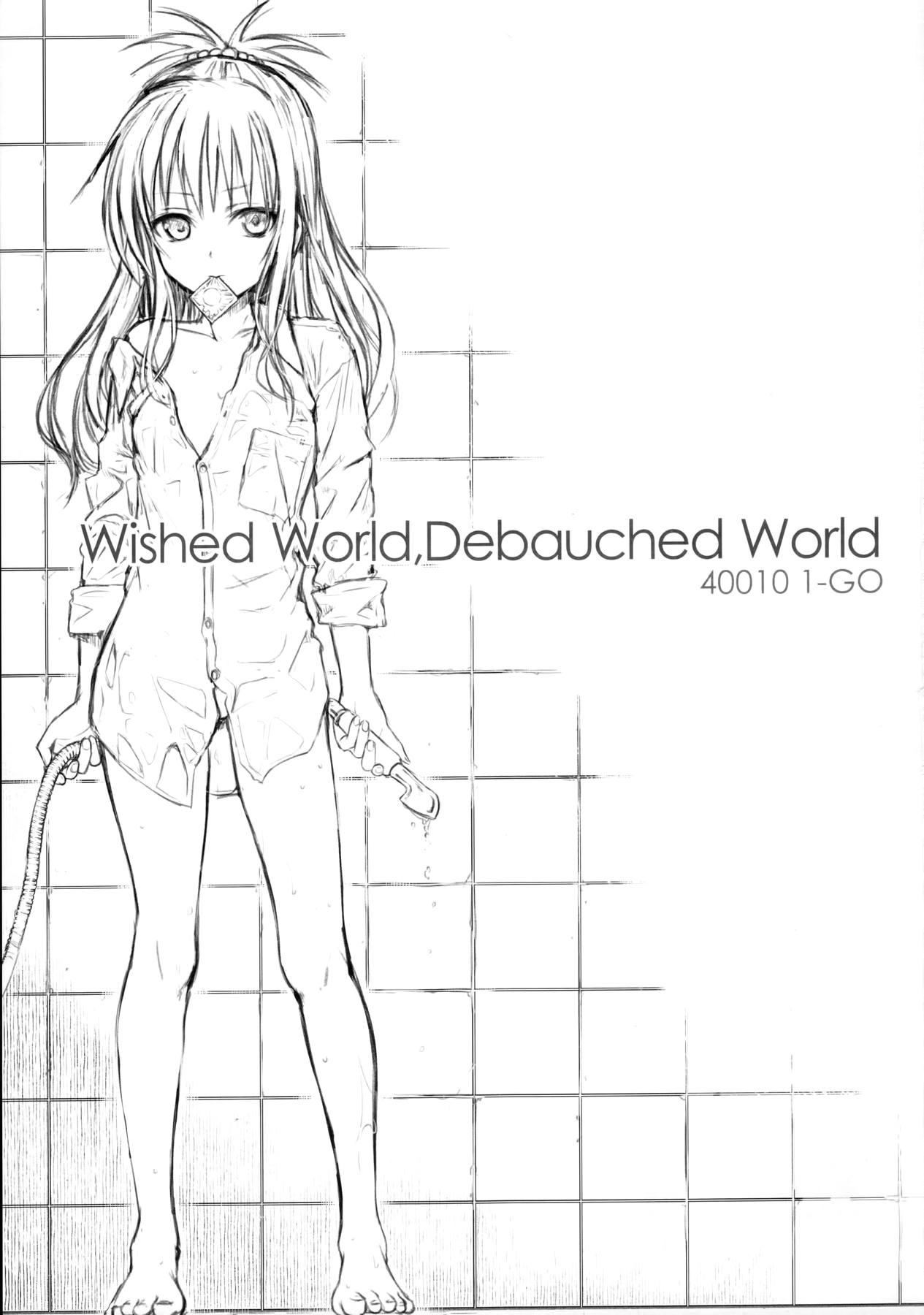 (C91) [40010壱号 (40010試作型)] Wished World, Debauched World (To LOVEる -とらぶる-) [中国翻訳]