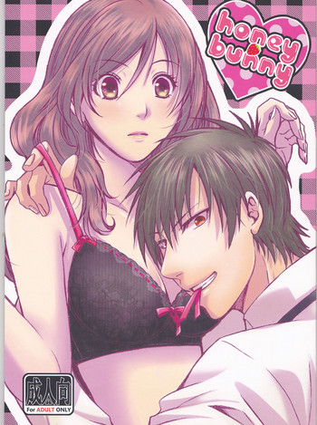 (C91) [AIRMUSICA (じも)] honey bunny (B-PROJECT)