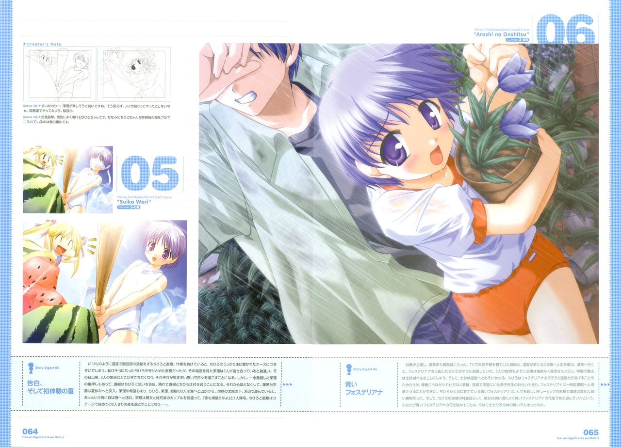 月は東に日は西に ～Operation Sanctuary～ ビジュアルファンブック 初回版