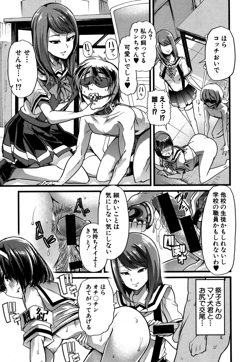 COMIC 真激 2016年11月号 [DL版]