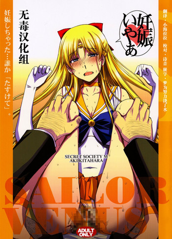 (C91) [秘密結社M (北原亜希)] 妊娠しちゃった...誰か「たすけて」。 (美少女戦士セーラームーン) [中国翻訳]