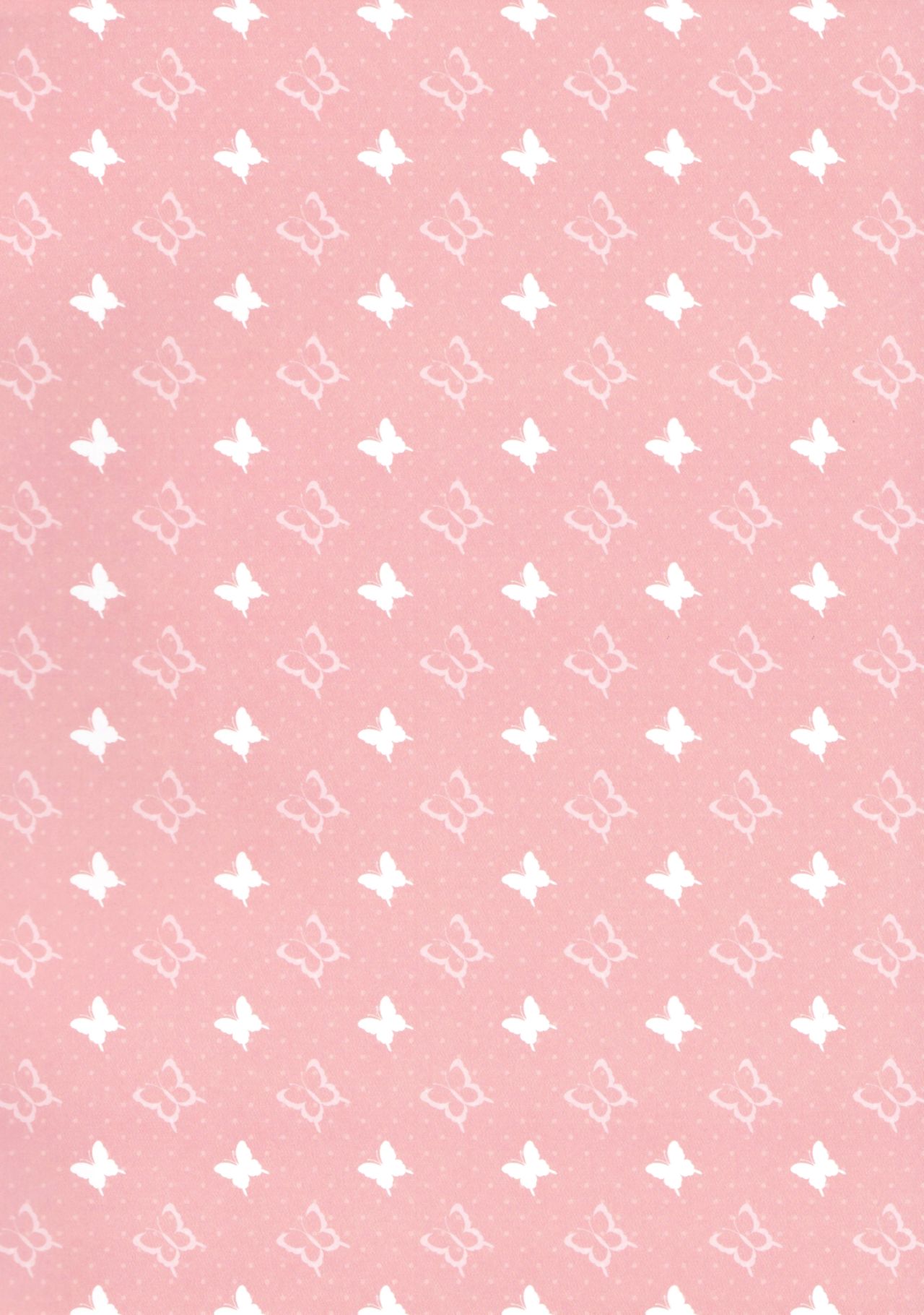 (C91) [CARAMEL CRUNCH! (りかたん☆)] フランと一緒に温まろっ? (東方Project)