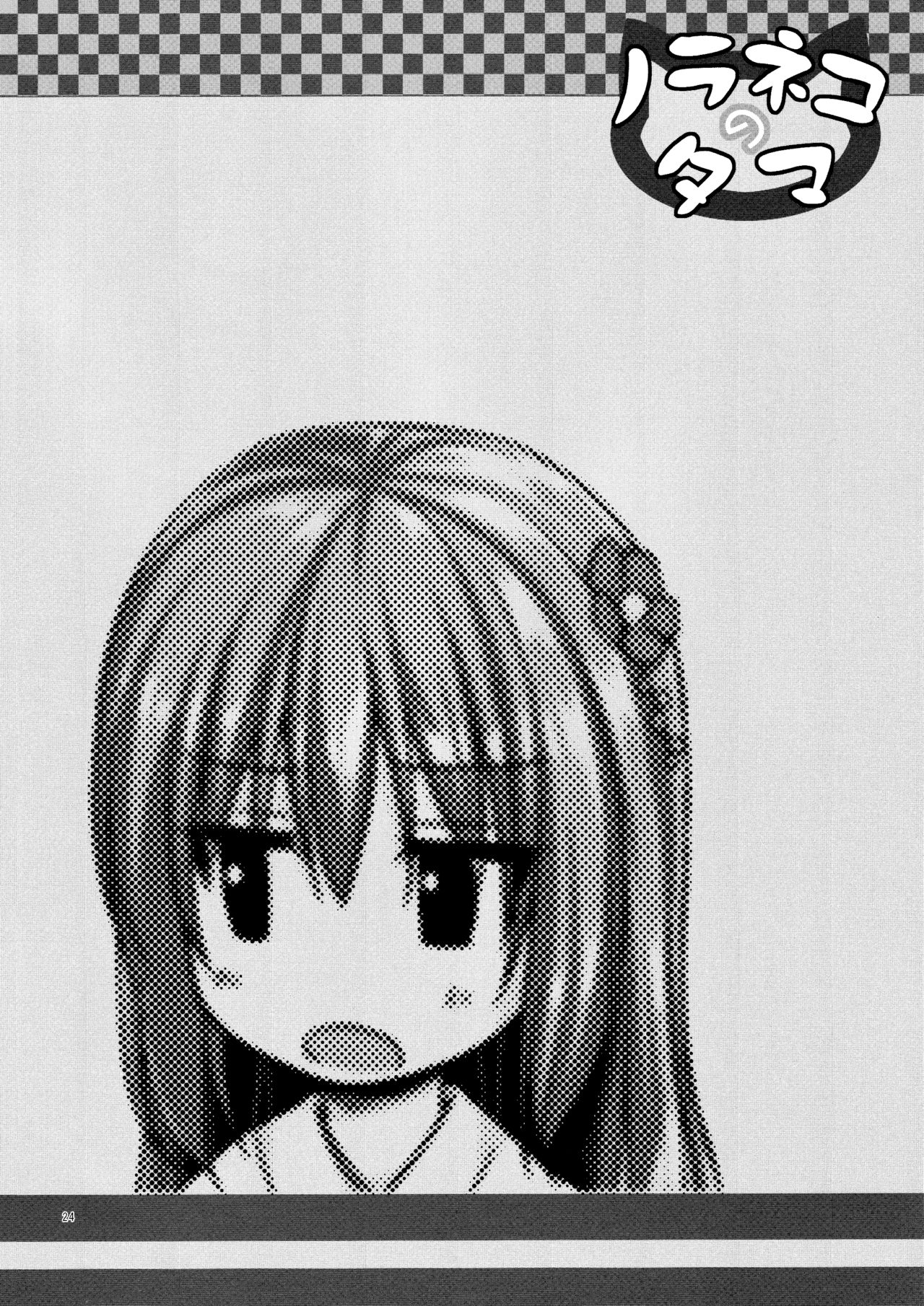 (コミティア118) [ノラネコノタマ (雪野みなと)] 光の君のさがなき計画 <葵> [英訳]