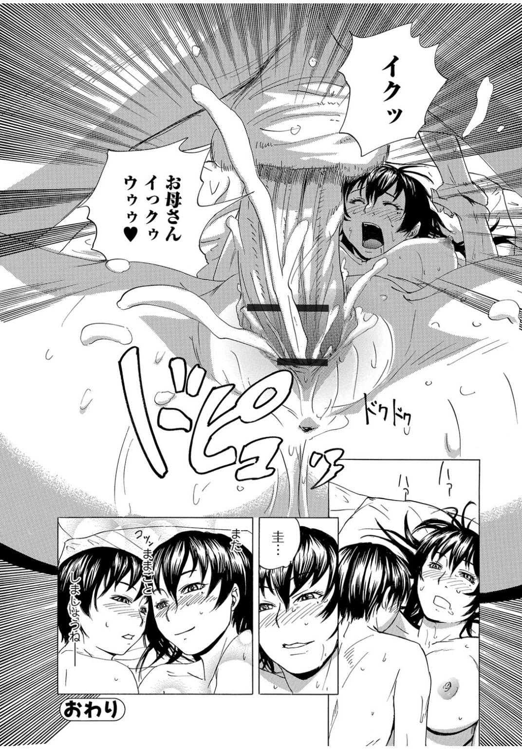 Web Comic 饕餮 Vol.12 [DL版]