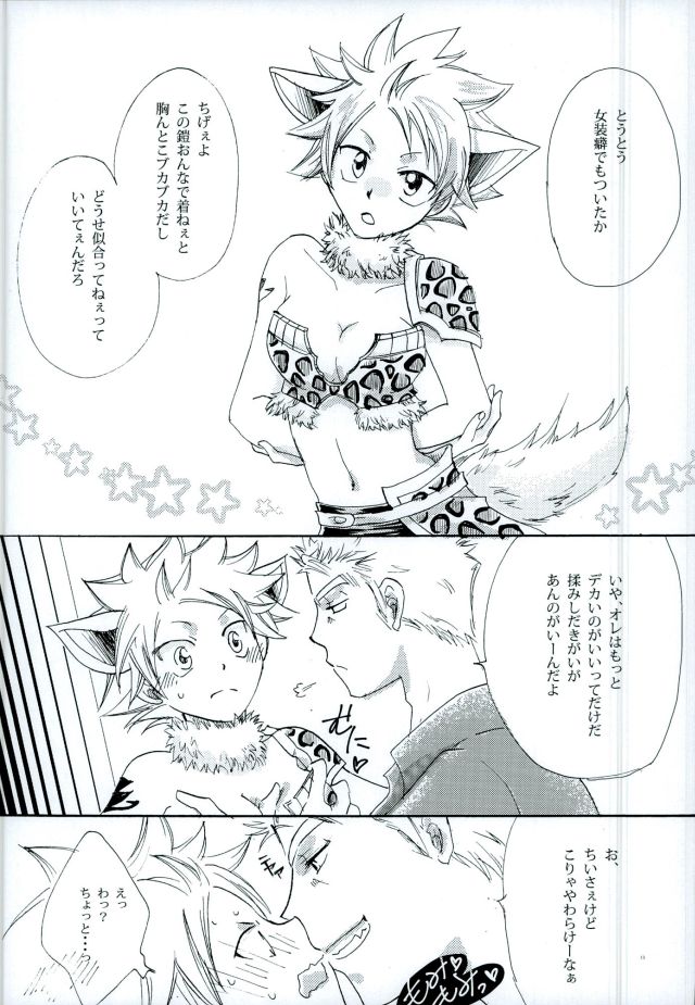 (C89) [黄桃缶 (みつかん)] 宵闇の星 (FAIRY TAIL)