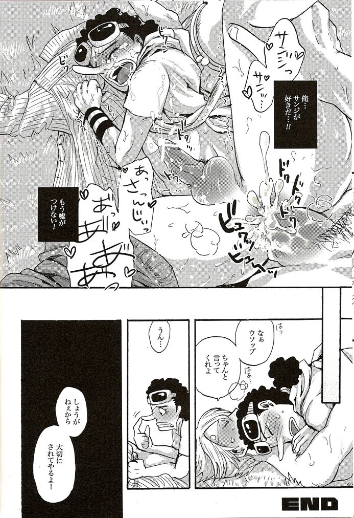 [GOMIX! (よいしょ53)] 真実からは嘘を。嘘からは真実を。 (ワンピース)