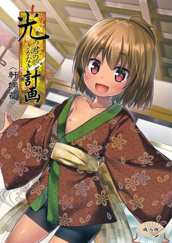 (C91) [ノラネコノタマ (雪野みなと)] 光の君のさがなき計画 <軒端荻>