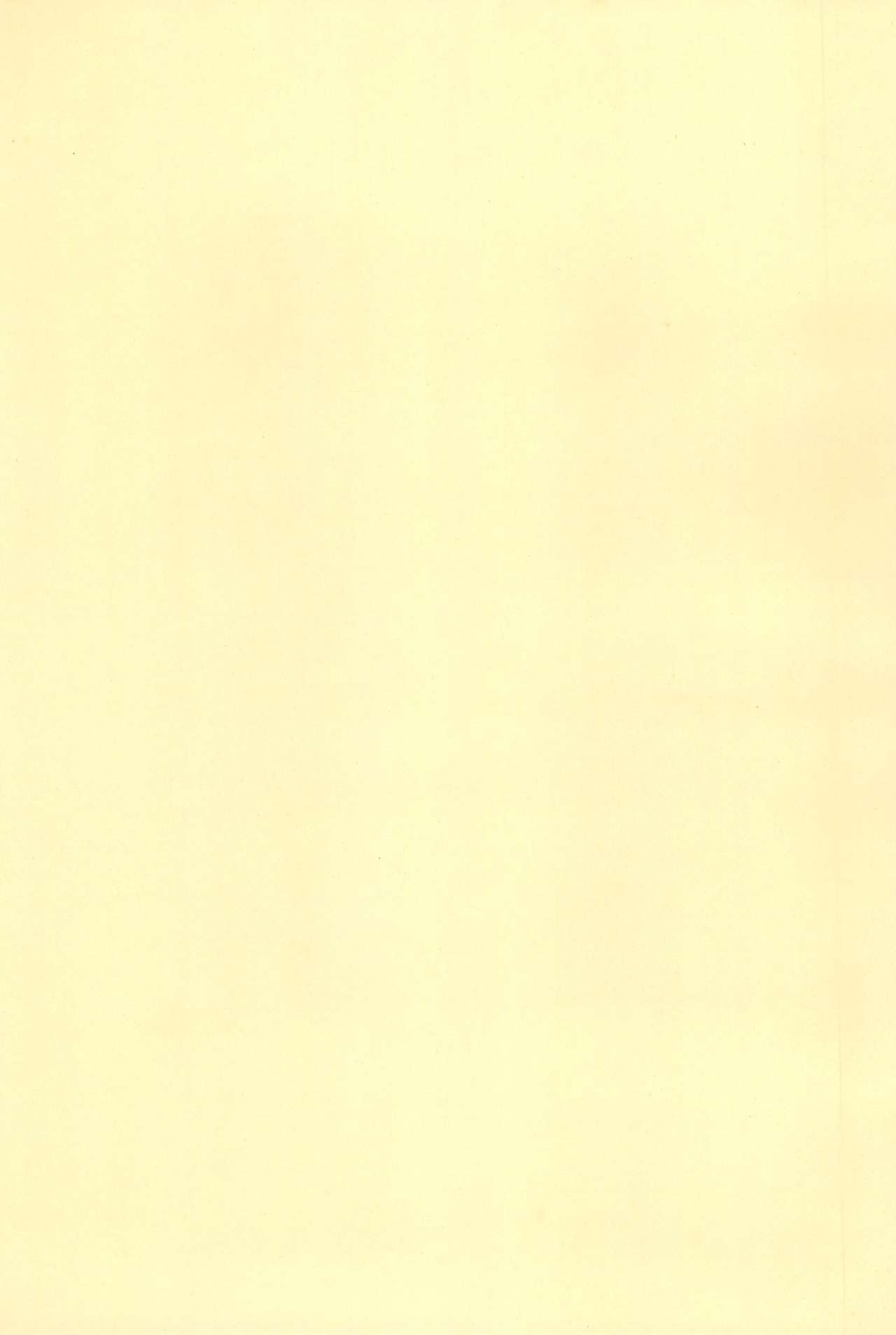 (もう一つの卒業) [Love Bird (小桜ぼたん)] 少年H (おジャ魔女どれみ)