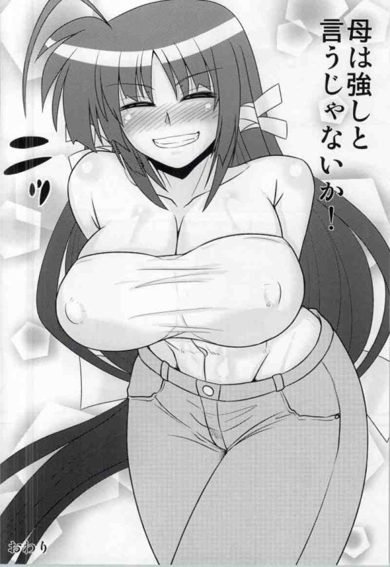 (リリカルマジカル15) [しょんなか堂 (御剱剣)] むぎゅっとミカ姉 (魔法少女リリカルなのは)