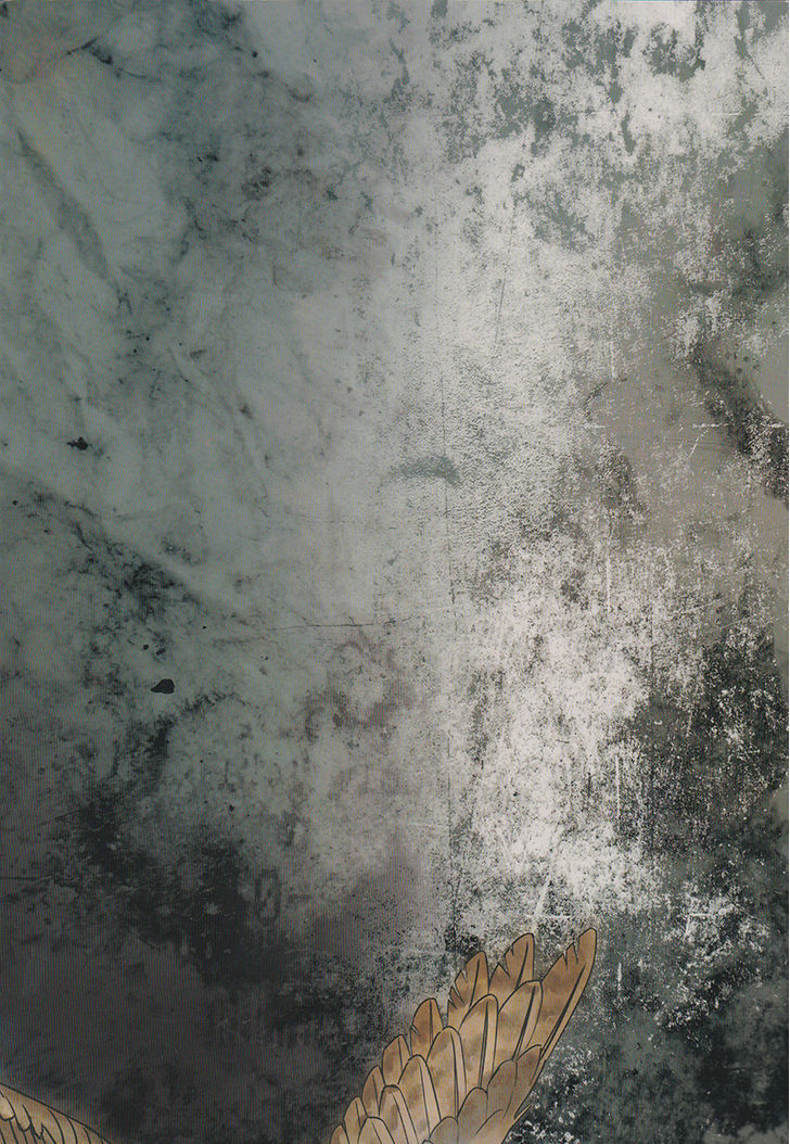 (C84) [下水道めがね (じろう)] Reflection (Batman) [英訳]